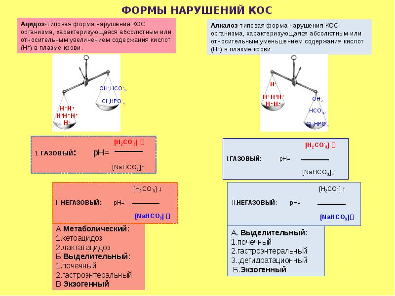 Алкалоз ацидоз презентация