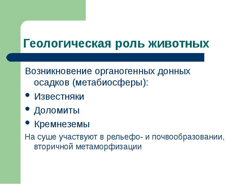 Средообразующая деятельность организмов презентация