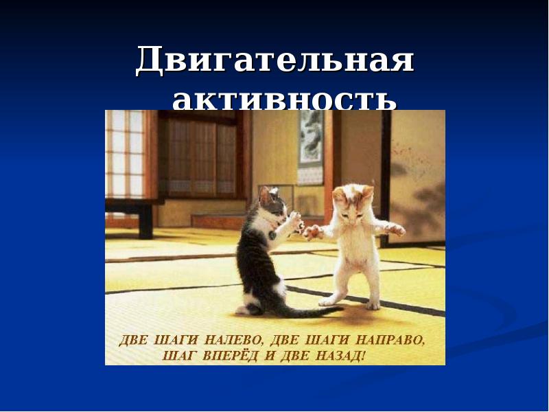 Два шага вправо. Двигательная активность животных. Две шаги налево. Две шаги налево две шаги направо. Шаг назад два вперед.