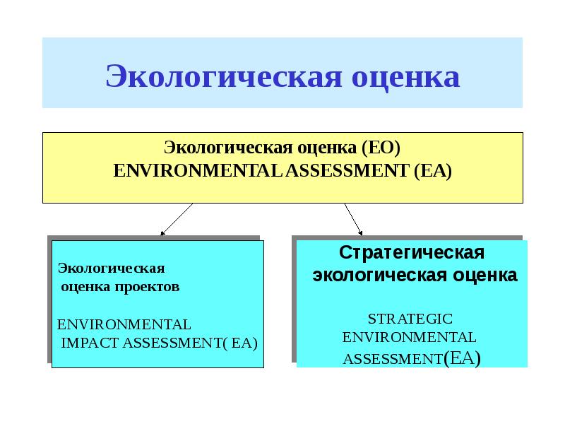 Проект экологическая оценка