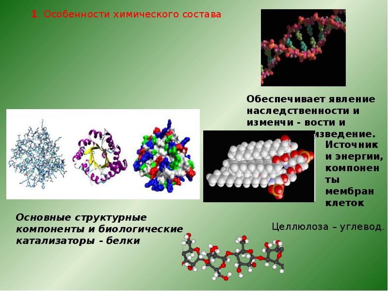 биохимия определение. презентация по биологии 8 класс "науки о человеке". прикладная биохимия это наука. наука о химическом составе живых организмов. наука о химическом составе живых организмов.
