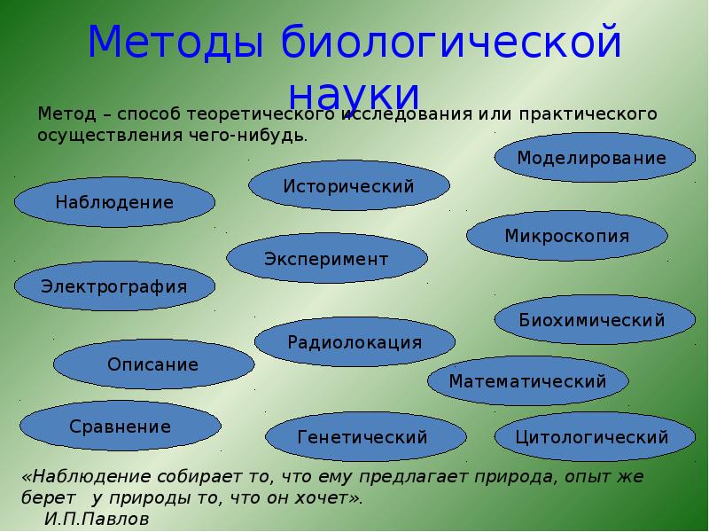 Презентация общая биология