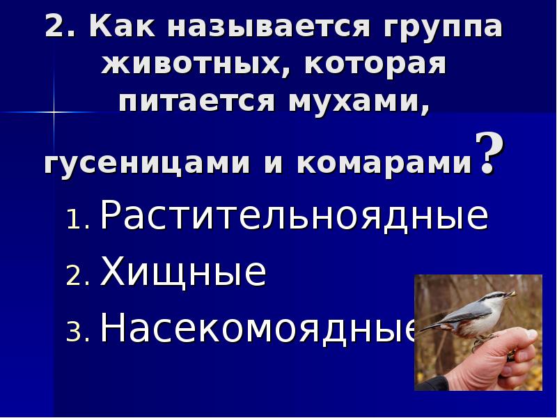 Что не помогает зайцу спасаться от врагов