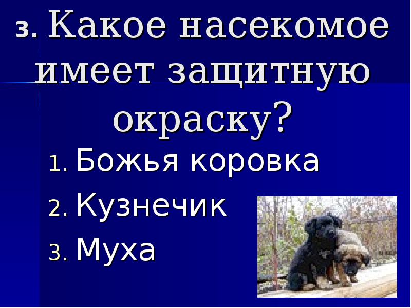 Что не помогает зайцу спасаться от врагов