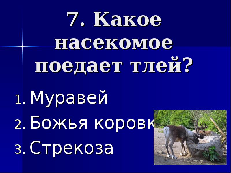 Что не помогает зайцу спасаться от врагов