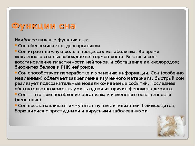 функции сна. сон играет важную роль. какую роль играет сон в нашей жизни. функции медленного сна. сон играет важную роль.