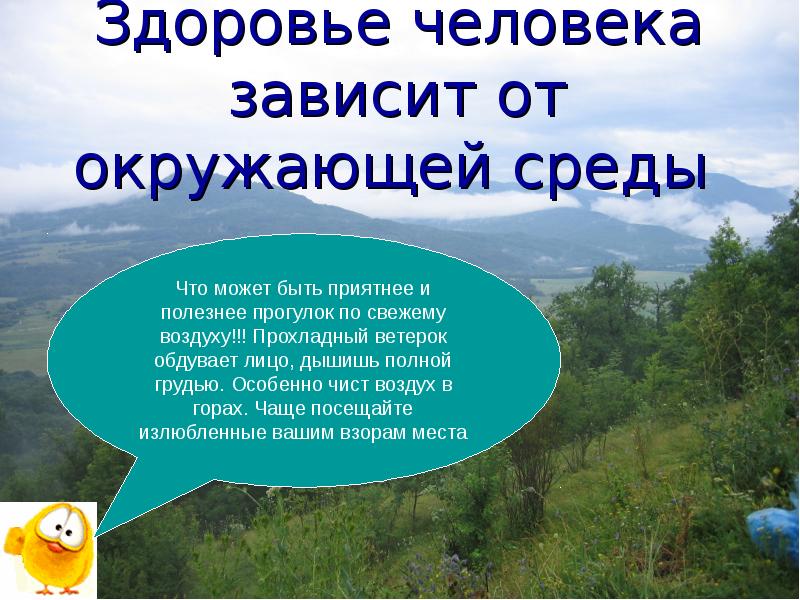 Качество жизни человека зависит от многих факторов в том числе от экологической ситуации огэ план