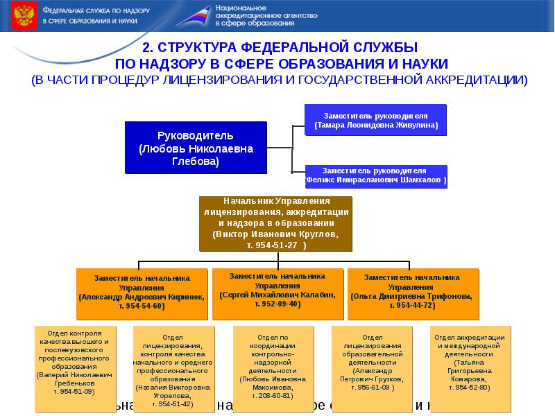 Управление лицензирования. Структура Федеральной службы по надзору в сфере образования и науки. Федеральная служба по аккредитации структура. Структура службы по аккредитации. Федеральные органы по надзору в сфере образовательной науки.