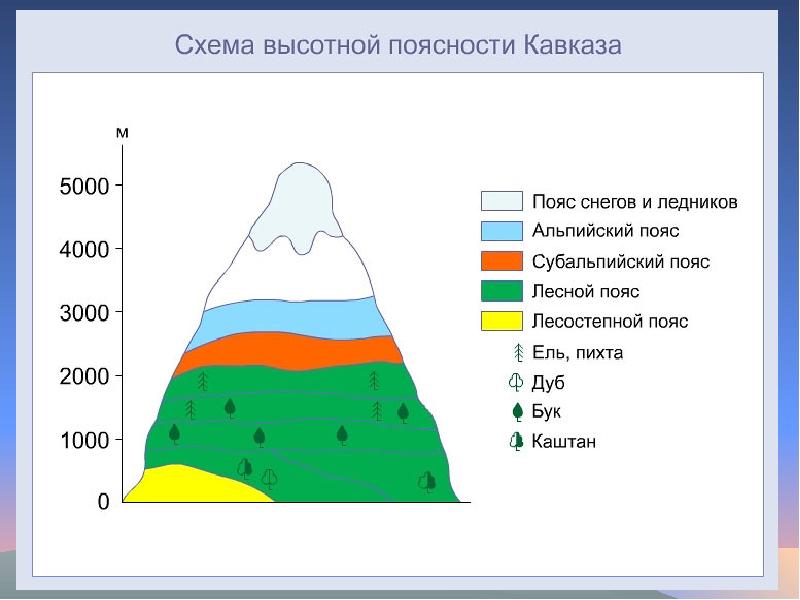 Закономерная схема природных зон и природных условий в горах называется