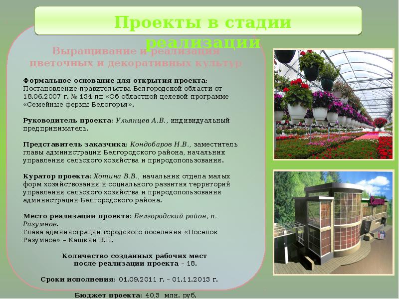 Проекты белгородской области