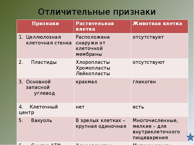 Отличительные признаки проекта