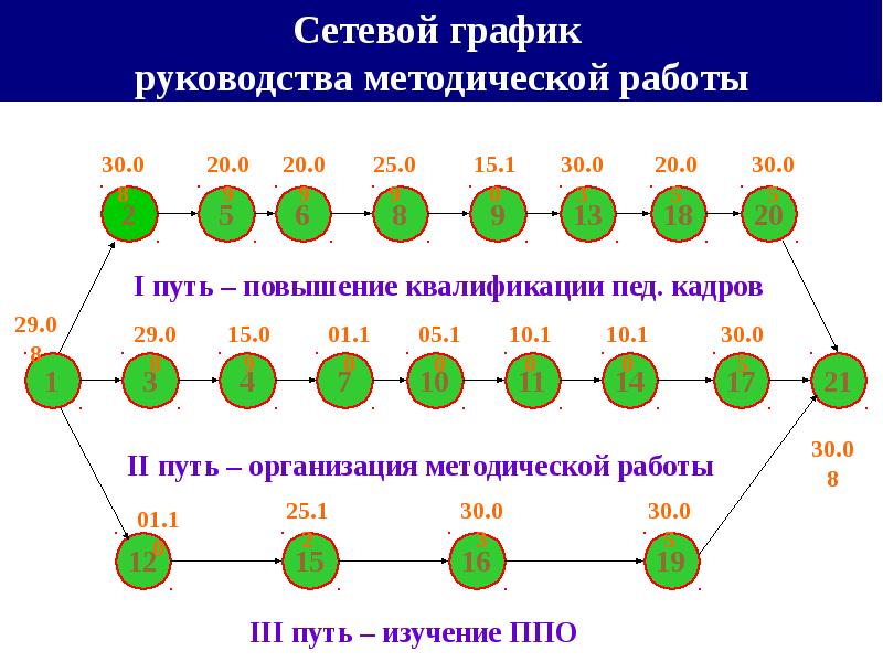 Путь организация. График от руководства.