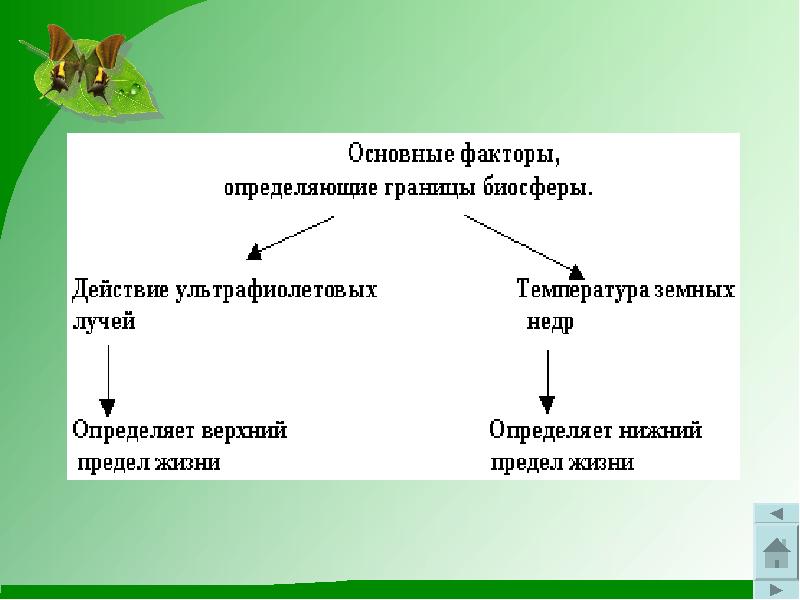 Форма и размеры земли кратко. Следствия шарообразной формы земли. Планета земля форма и размеры. Специфика земли как фактора производства. Основные факторы определяющие форму земли.