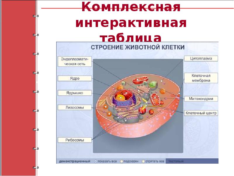 Интерактивный плакат проект