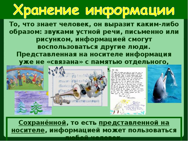 Где и как человек хранит информацию