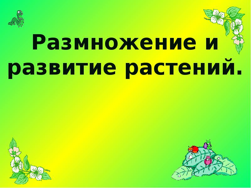 Размножение и развитие растений 3 класс. Размножение и развитие растений. Картинки размножение и развитие растений. Размножение и развитие растений 3 класс тест.