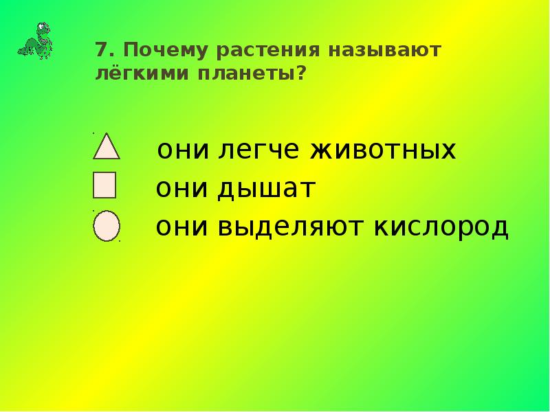 Как называют легкую. Растения называют «лёгкими» планеты. Почему растения называют легкими планеты. Почему растения называют легкими города. Почему легкие назвали легкими.