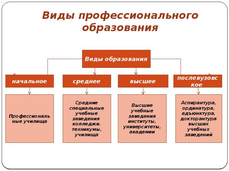 Виды профессионального образования в россии презентация