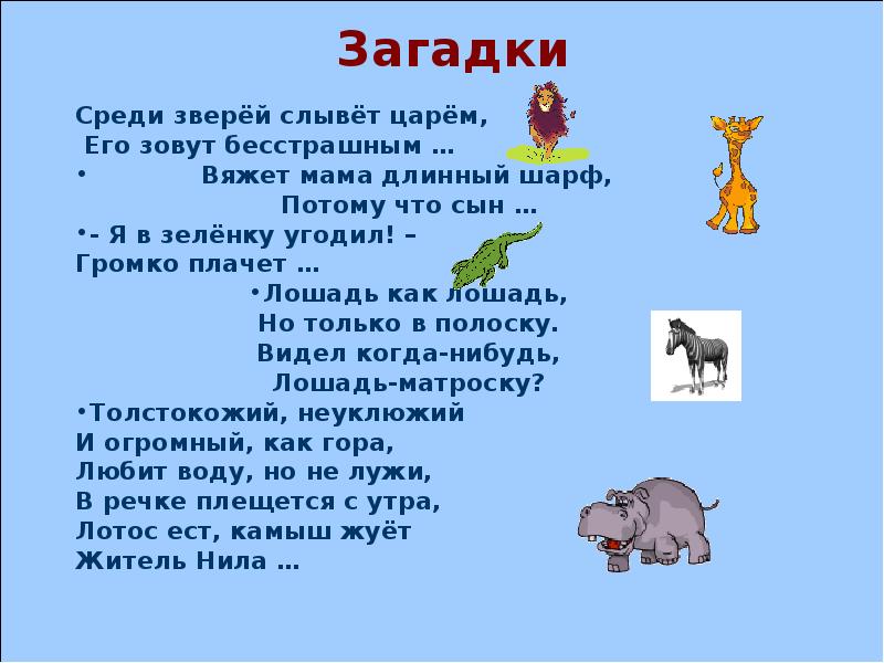 Загадка про мир животных. Загадка про дикого животного. Загадки про лесных животных для дошкольников. Загадки о животных. Загадка про животного.