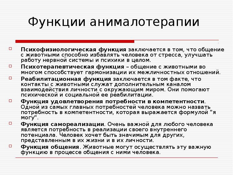 Проект по анималотерапии