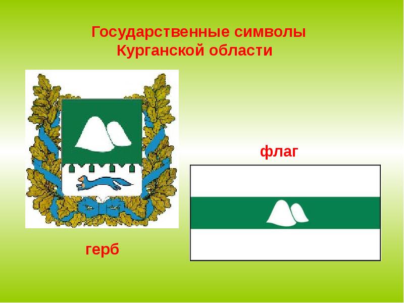 Реферат: Курганская область: описание