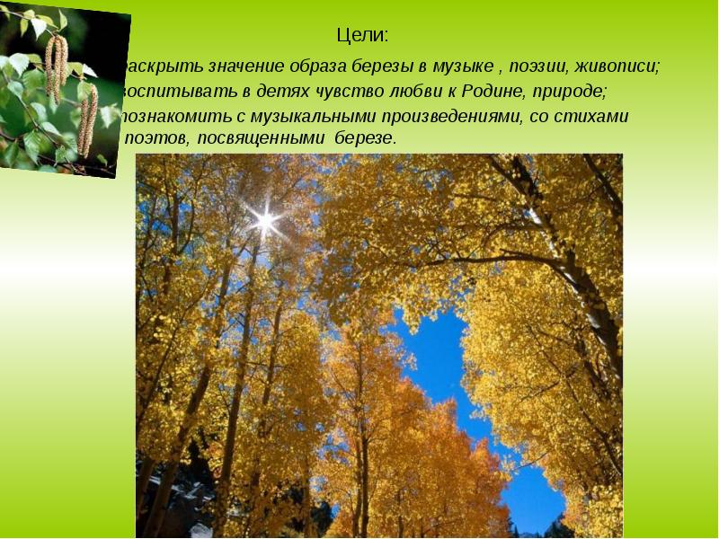 Связь природы с родиной. Образ березы в Музыке. Музыкальные произведения о Березе. Образ березы в русской поэзии. Образ березы в русской Музыке.