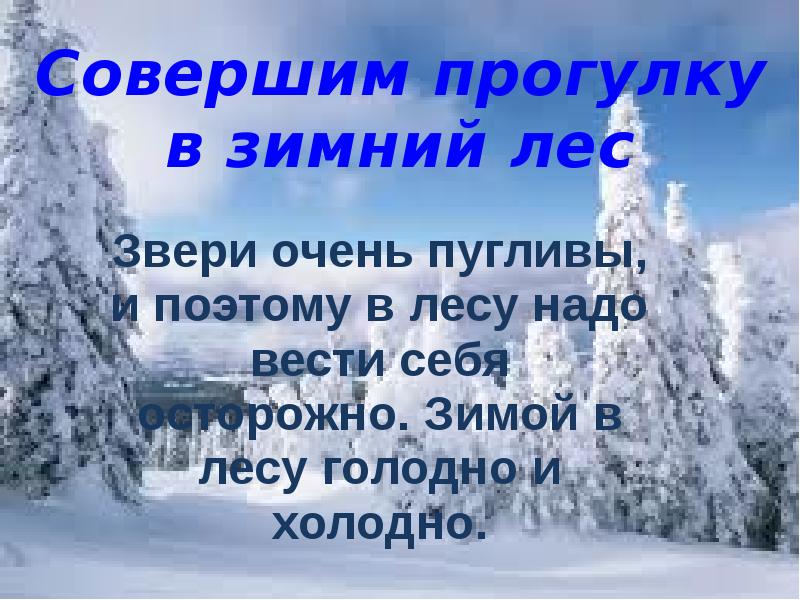 Путешествие в зимний лес средняя группа презентация