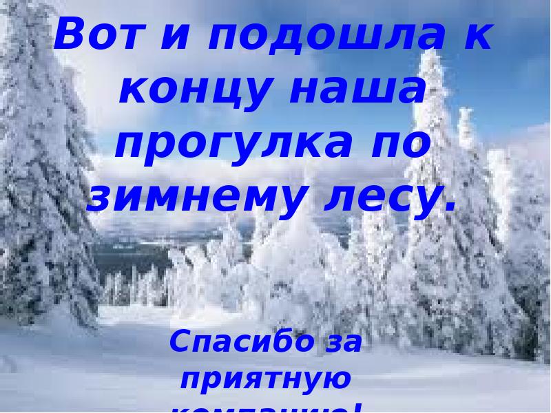 Внимание зимний. Путешествие в зимний лес слайд. Спасибо за зимнюю прогулку. Стихи про зимние прогулки в лесу. Стихотворение про зимнюю прогулку в лесу.