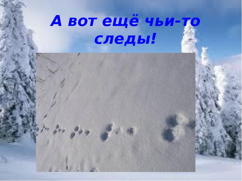 Что интересного можно увидеть зимой. Чудеса зимней природы. Зимний пейзаж. Северное сияние кольский полуостров мурманская область. Природные ледяные скульптуры.
