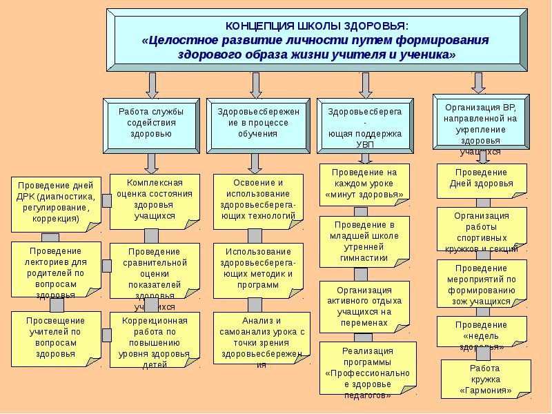 Концепция школы. Концепция школа здоровья. Собственная концепция школы здоровья. Принципы организации школ здоровья, комплектация групп..