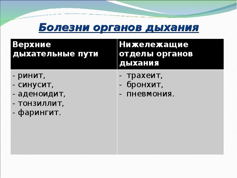 Болезни органов дыхания