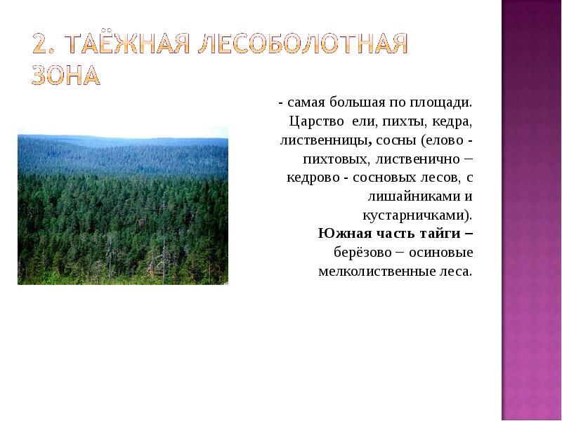 Западно сибирская равнина особенности природы презентация 8 класс