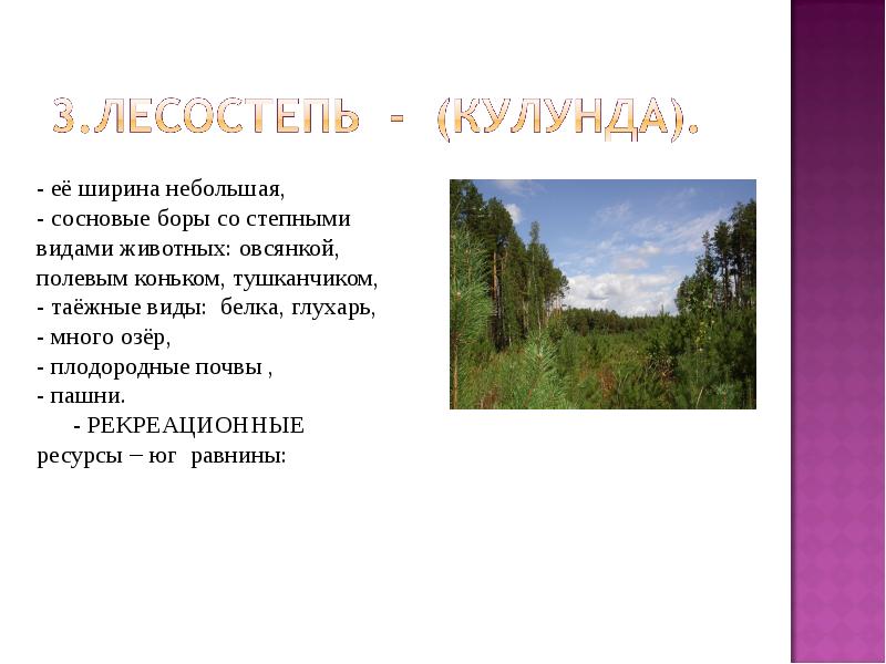 Западно сибирская равнина особенности природы презентация 8 класс