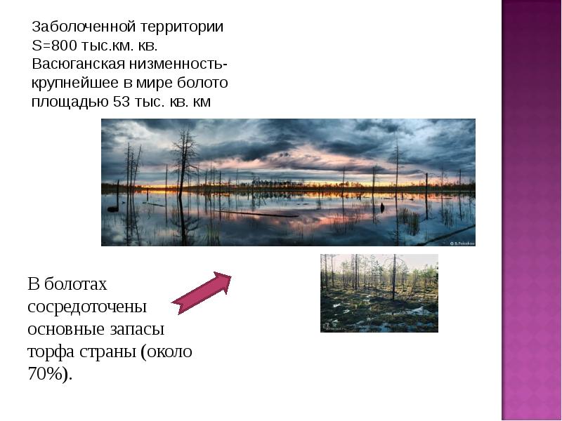 Западно сибирская равнина особенности природы презентация 8 класс