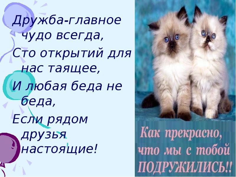 Ждут дружбу всегда. Дружба главное чудо всегда. Что главное в дружбе. Давай дружить всегда. Я всегда дружно дружу.