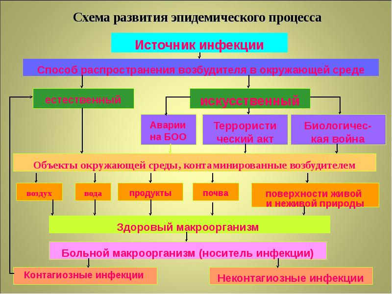 Звенья эпидемического процесса. Эпидемиологический процесс состоит из. Эпидемический процесс схема. Эпидемиологический процесс и его составляющие.. Структура эпидемического процесса.