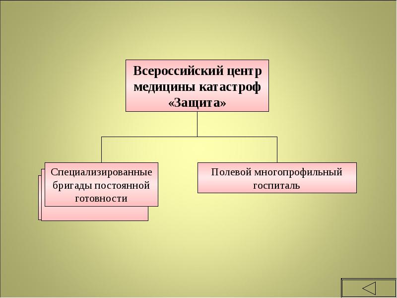 Медицинская и биологическая защита населения презентация