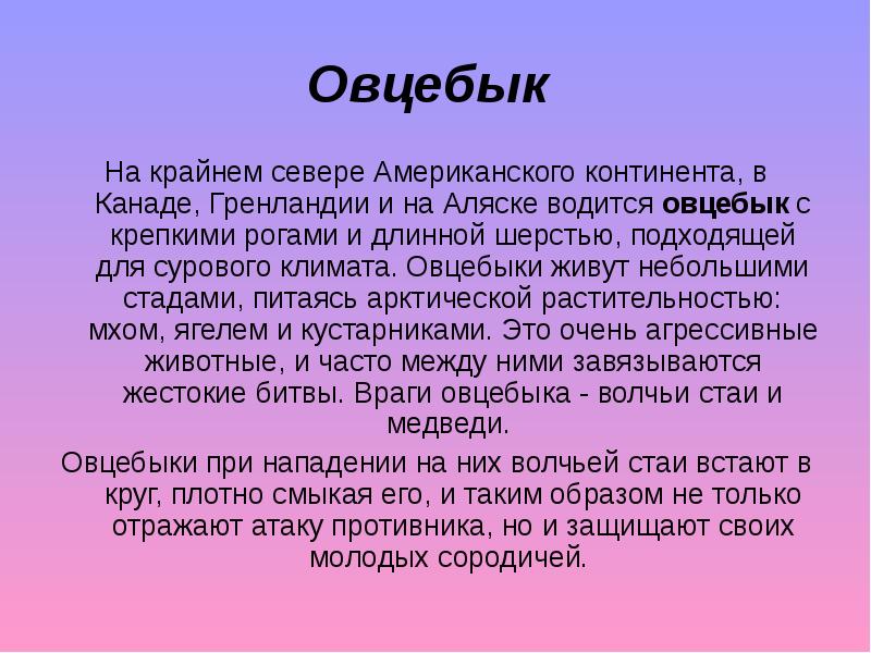 Презентация про овцебыка