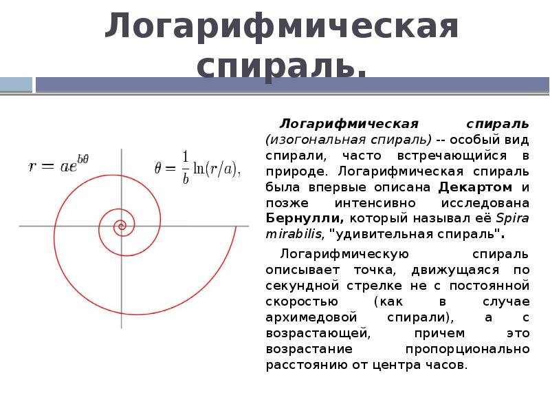 Логарифмическая спираль проект