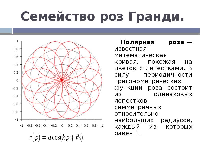 Замечательные математические кривые розы и спирали проект