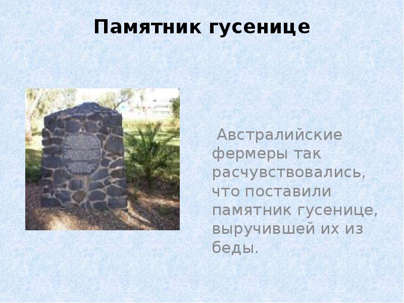 Памятник моли в австралии