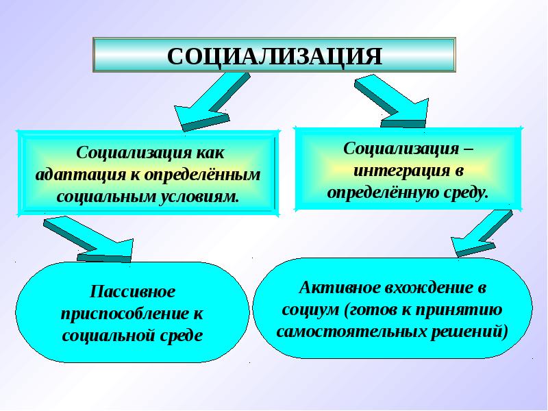 Понятие социализации презентация