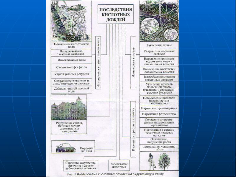 Кислотные дожди карта