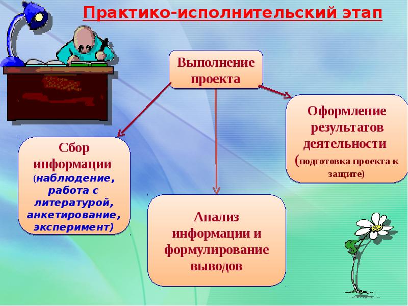 Проект сбор информации