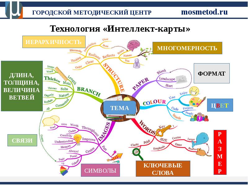 Ментальная карта педагогики