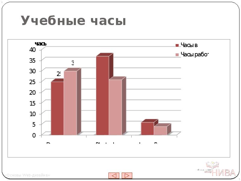 Основы web дизайна курсовая