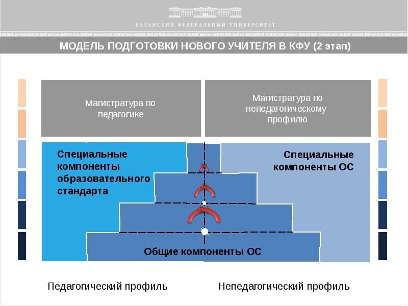 Специальные компоненты. Профиль подготовки магистратура. Педагогический профиль. Традиционная модель университета. Эволюция педагогических университетов.