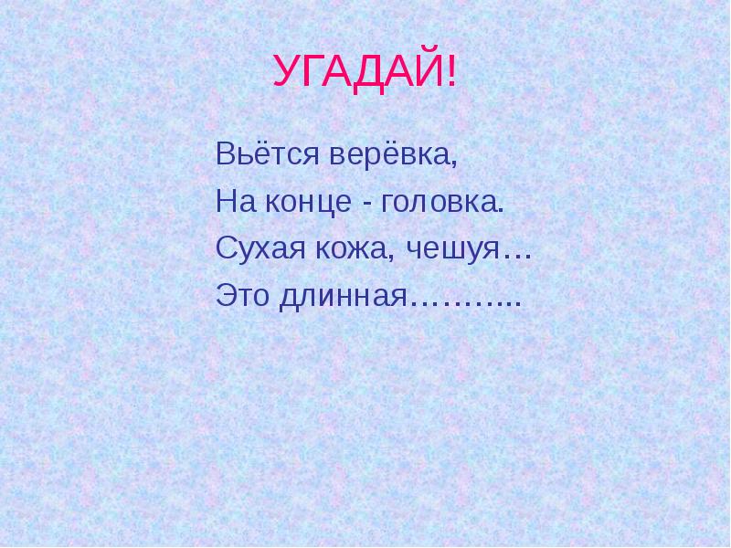 Веревочке ни виться а конец будет. Вьется веревка на конце головка. Вьётся верёвка на конце головка ответ на загадку. Вьется веревка на конце головка отгадка. Вьется веревочка.