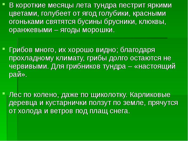 В короткие месяцы лета тундра пестрит яркими цветами, голубеет от ягод