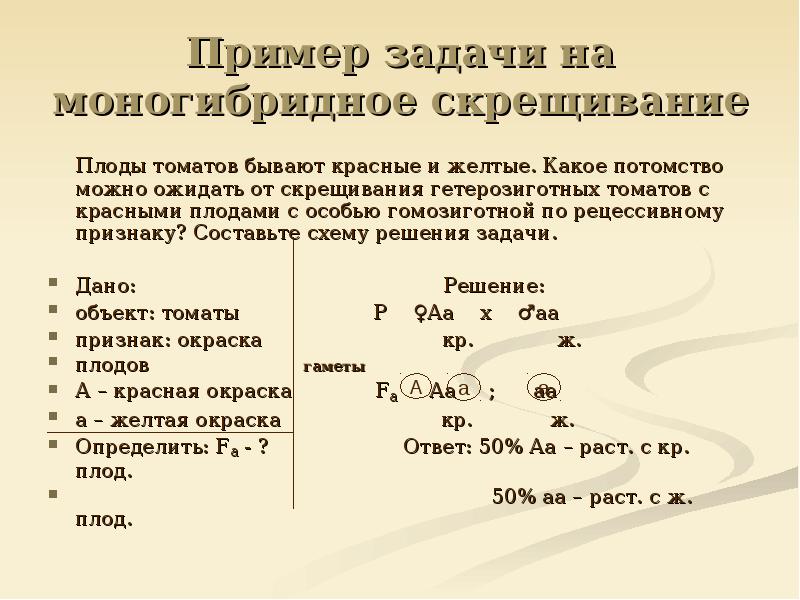 Решение моногибридных задач